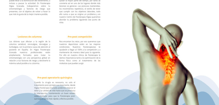diseño web Higea Fisioterapia